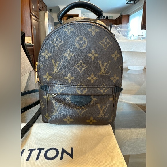 Louis Vuitton Palm Springs Mini - Picture 2 of 4